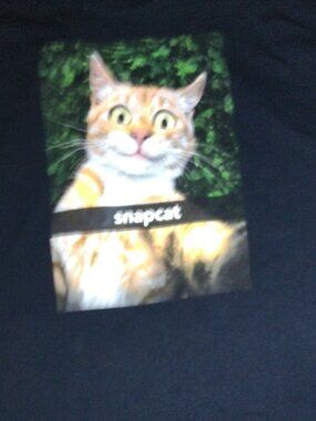 Mens XL Wide Eyed SnapCat T Shirt-Good Condition-No Tags
